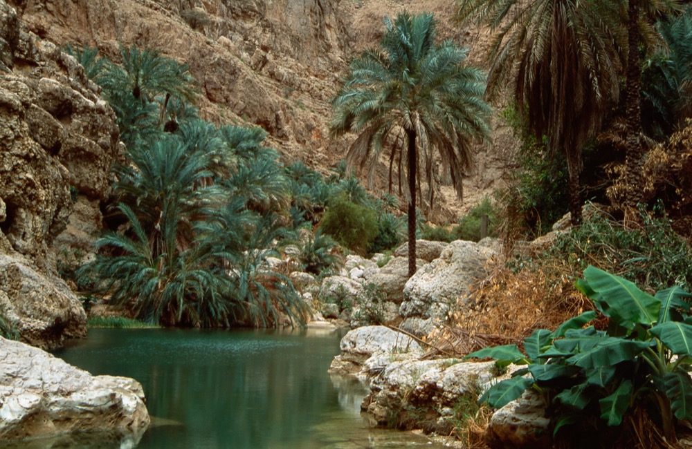 Beautiful look of Wadi Shab
