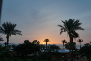 scenes of Wadi Shab