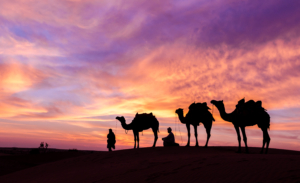 Muscat Desert Safari