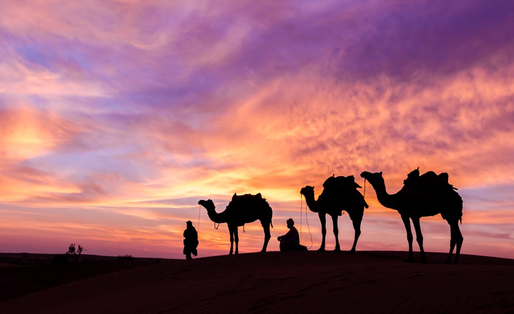 Muscat Desert Safari