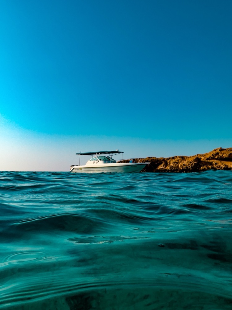 Muscat underwater